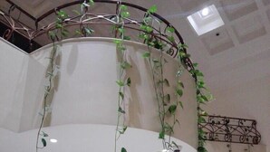 Reception - Gardenia (Jeddah)