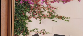 Fully detached EMAFRA house with outdoor space a few kilometers from the sea