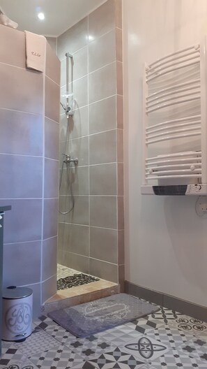 Shower, hair dryer, towels, toilet paper - Au petit bonheur" mountain gite (mur de barrez)