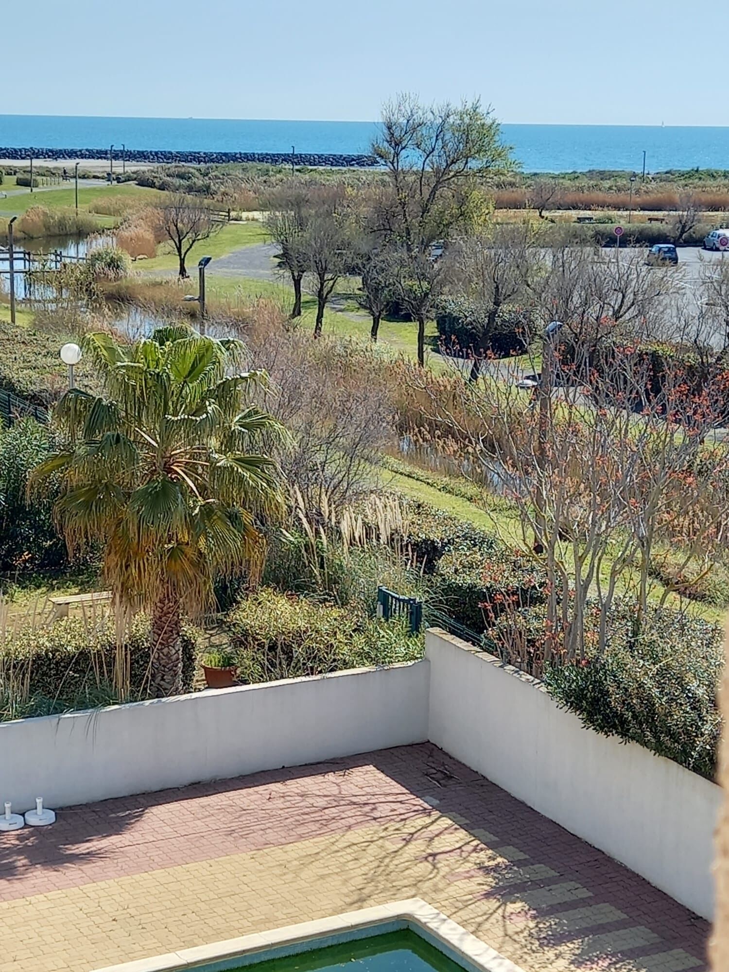 A balcony with a view of a landscaped garden, a palm tree, and a body of water.