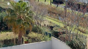 Un balcó amb vista a un jardí paisatjístic, una palmera i una massa d'aigua.
