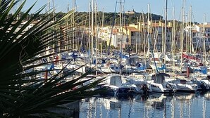 Una marina amb nombroses embarcacions de vela amarrades, envoltada de vegetació i edificis al fons.