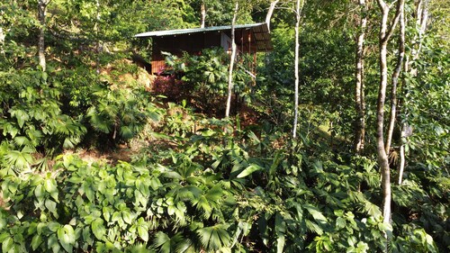 Finca la Bonita, Near Corcovado National Park.