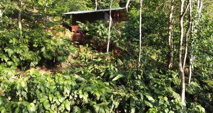 Finca la Bonita, Near Corcovado National Park.