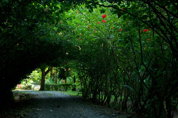 Área da propriedade