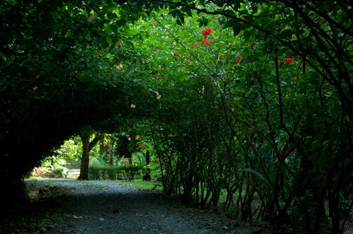 Finca la Bonita, Near Corcovado National Park.