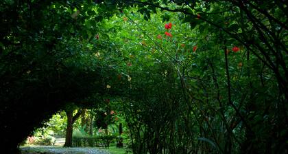 Finca la Bonita, Near Corcovado National Park.