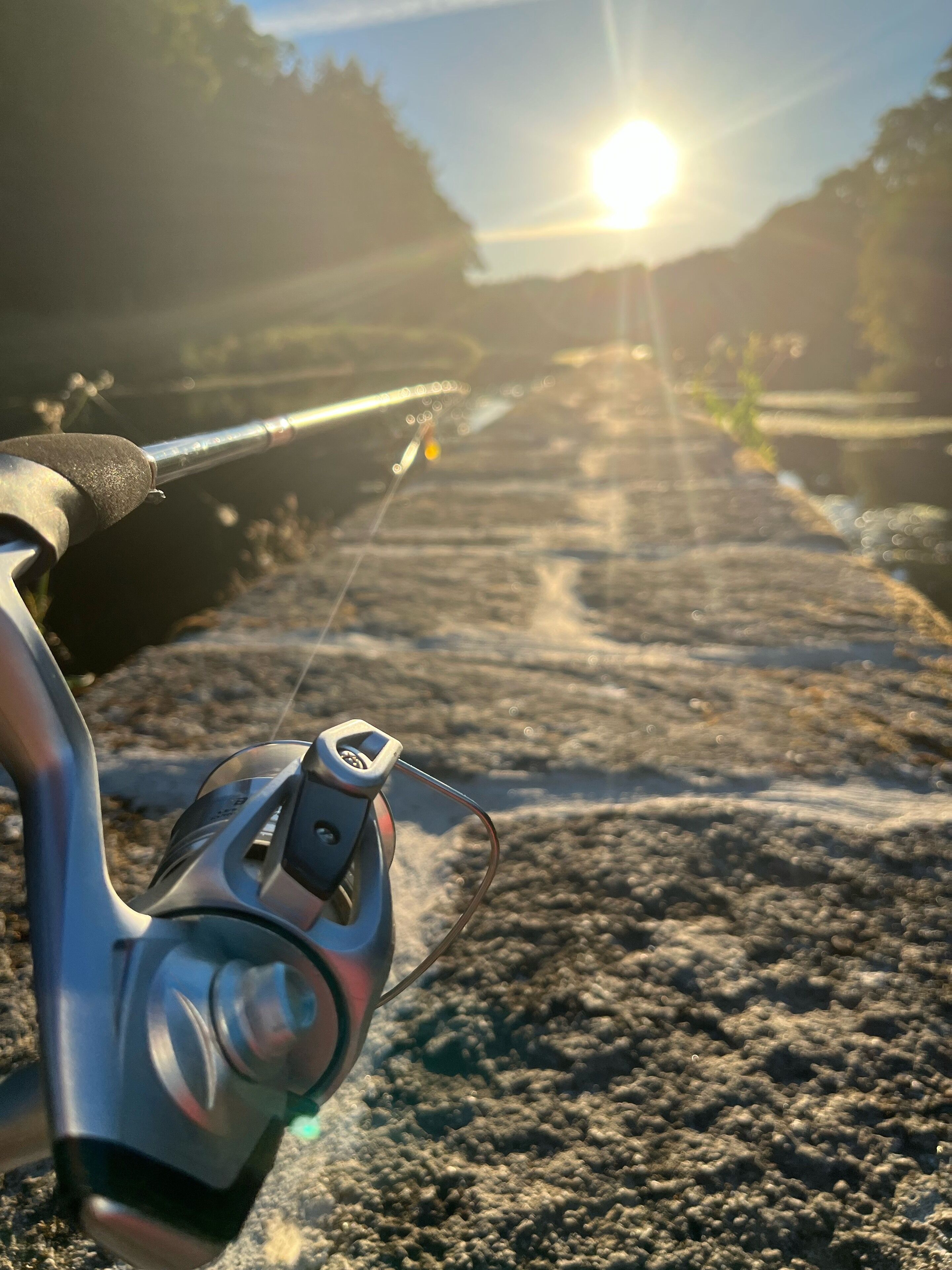 Une canne à pêche équipée d’un moulinet, placée sur une surface rocheuse, avec un arrière-plan illuminé par le soleil.