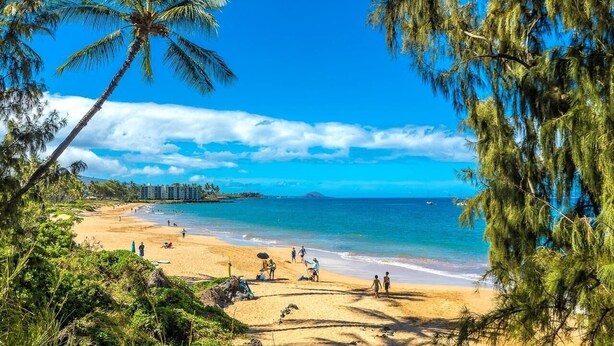 Une plage bordée de palmiers, avec une eau d’un bleu limpide et une montagne qui se dessine à l’horizon.