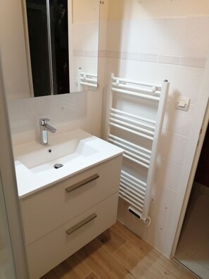 Shower, hair dryer, toilet paper