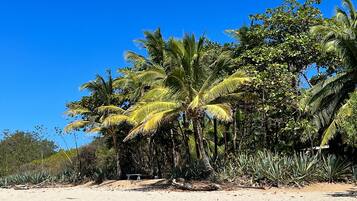 Nær stranden, solsenger og strandhåndklær