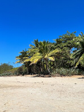 Plage à proximité, chaises longues, serviettes de plage