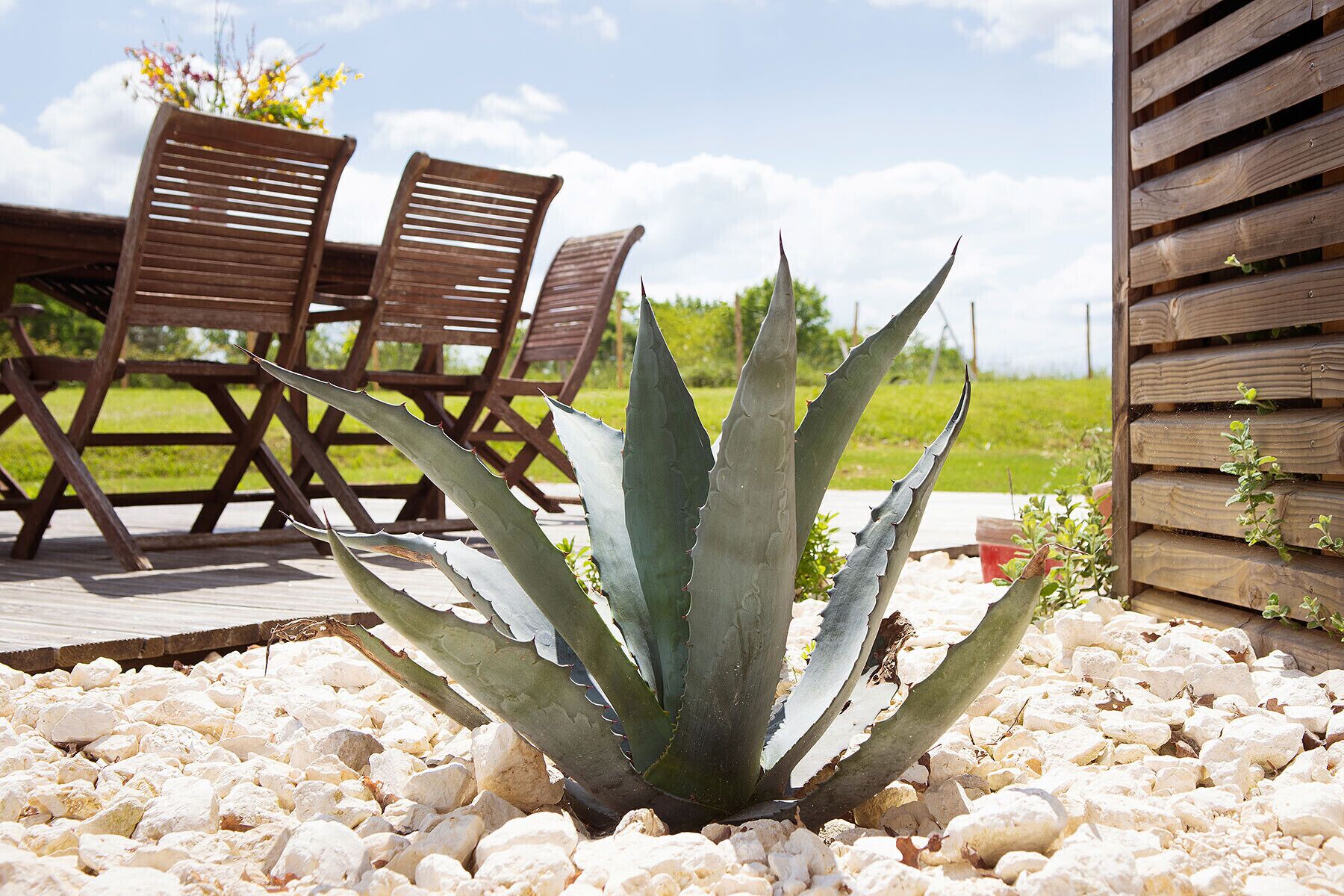 Terrein van de accommodatie