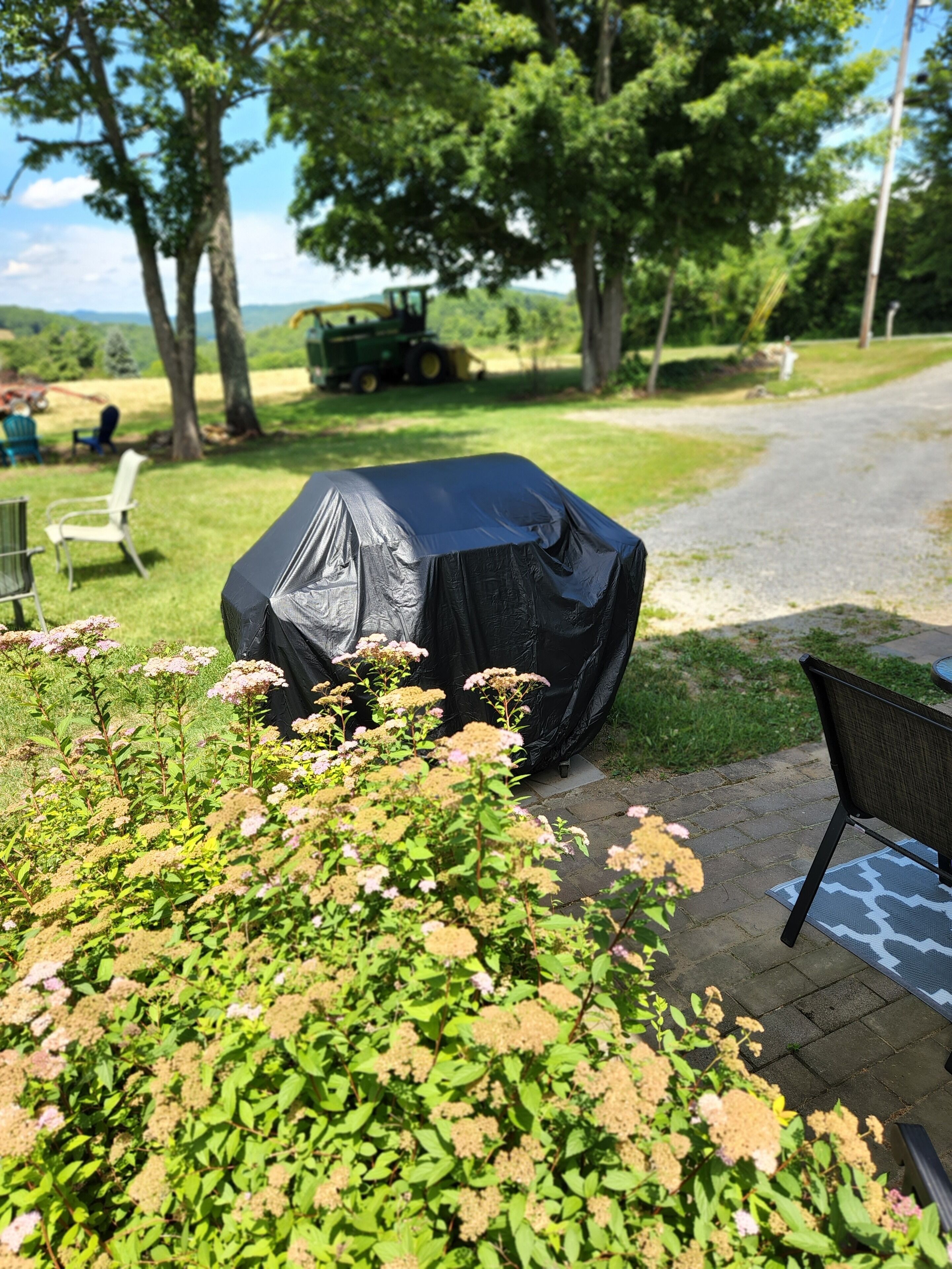 A covered grill in a garden with green plants and a paved path.