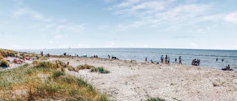 Tæt på stranden, fiskeri