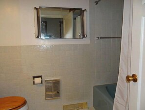 A bathroom with a toilet, a shower, a mirror, and a towel rack. - Farmhouse on 21 acres near Shawano Lake, amenities nearby, 45 min. to Lambeau. (Shawano)