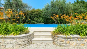 Une piscine avec des marches en pierre menant à l'eau, entourée de verdure et de fleurs orange.