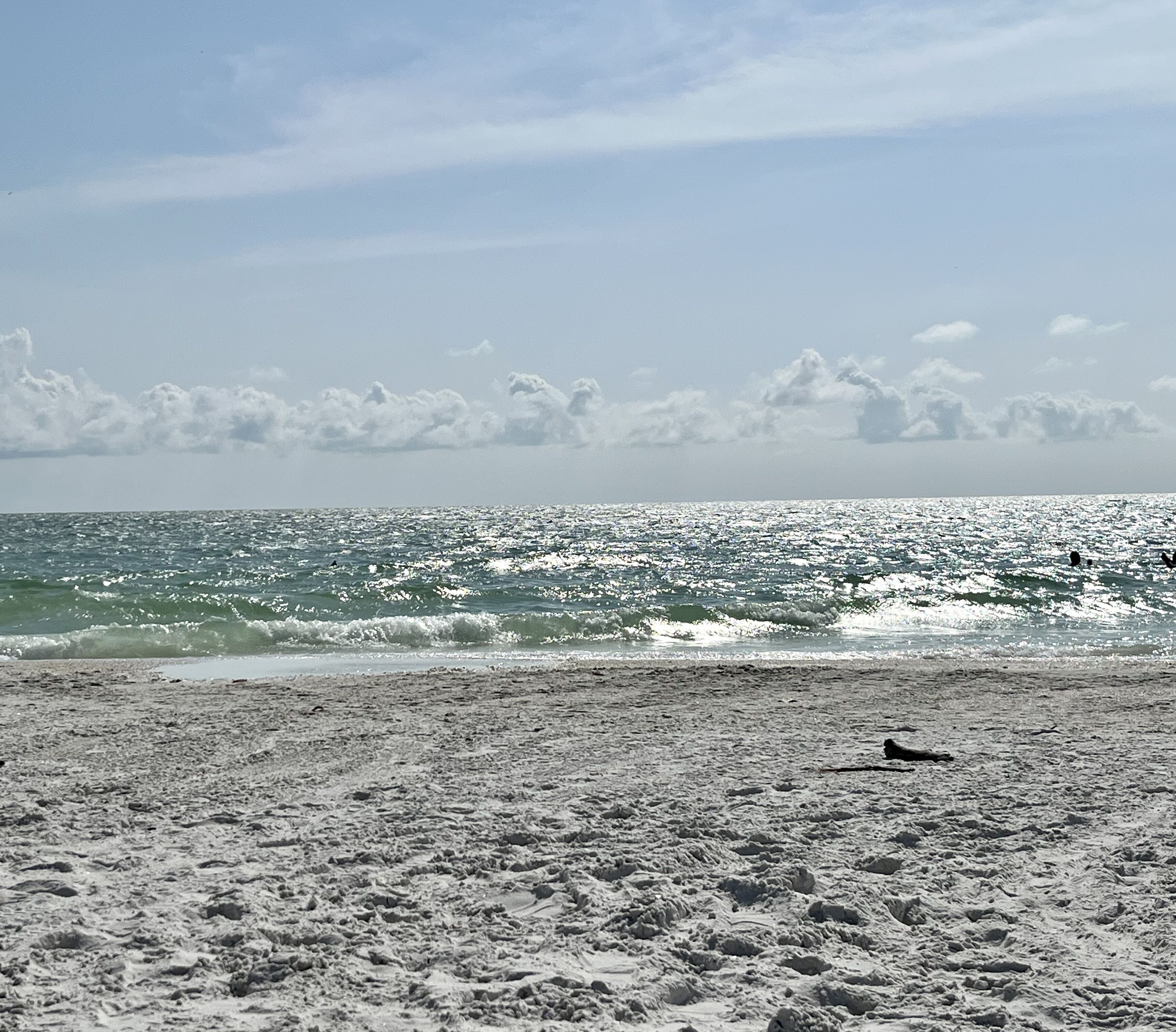 A beach with a sandy shore and waves.