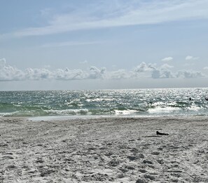Playa en los alrededores, camastros y toallas de playa 