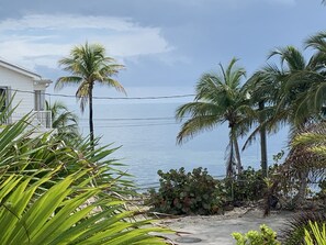 Property grounds - MONTHLY Rental ONLY!!!!! Private Sea Wall on Canal-Book Now! (Key West)
