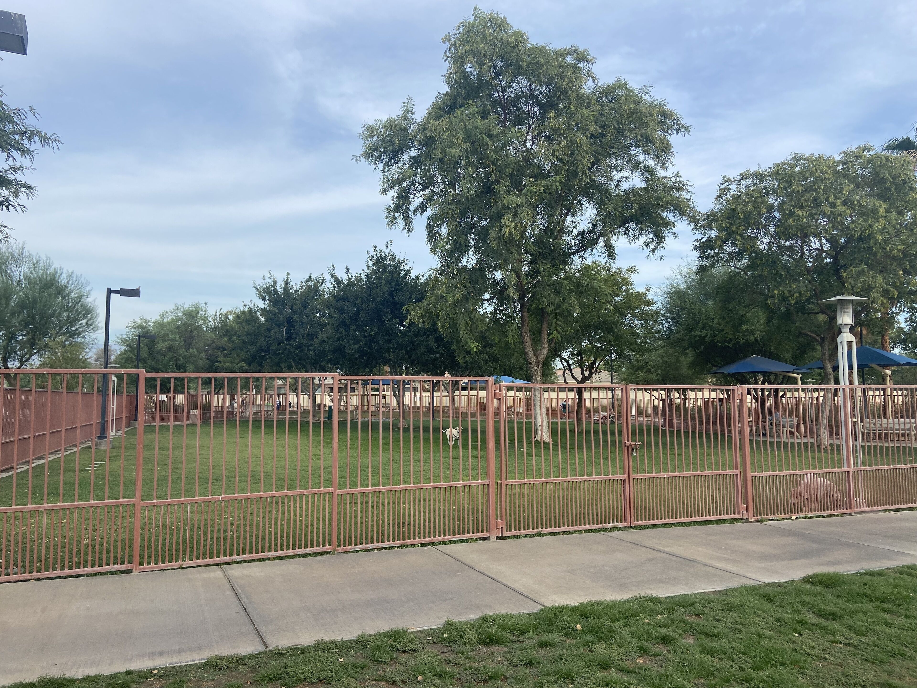 A fenced park area with a grassy field, trees, and a playground.