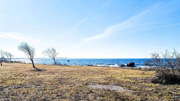 Beach nearby, fishing