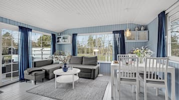 TV connectée, cheminée