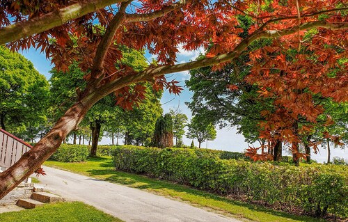 1 bedroom nice home in Untergriesbach