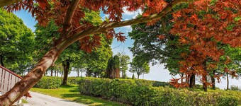 1 bedroom nice home in Untergriesbach