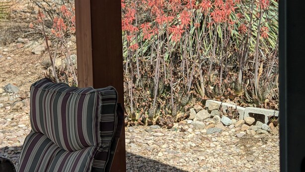 Un espace patio agrémenté d’une chaise à rayures, d’un jardin de rochers et d’une plante aux fleurs rouges.