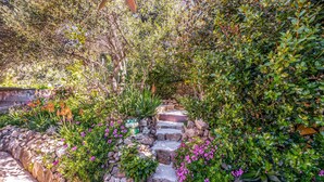 Un jardin avec des marches en pierre menant à un mur de pierre, le tout entouré de différentes plantes et fleurs.