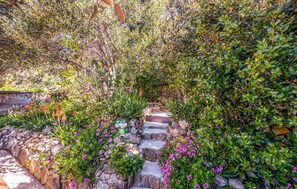 Stroll through the beautifully landscaped garden, surrounded by vibrant plants and flowers.