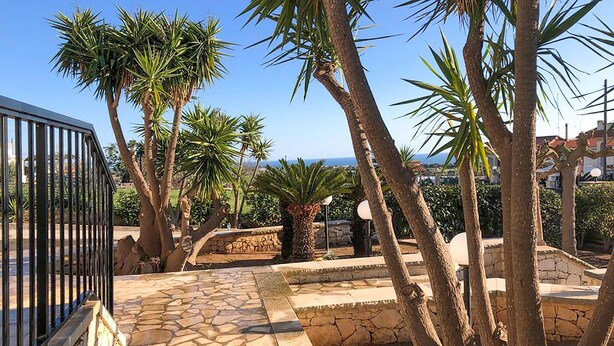 A paved patio with stone tiles, surrounded by palm trees and a stone wall.