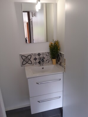 Une salle de bain avec un lavabo blanc, un miroir et une plante en pot.