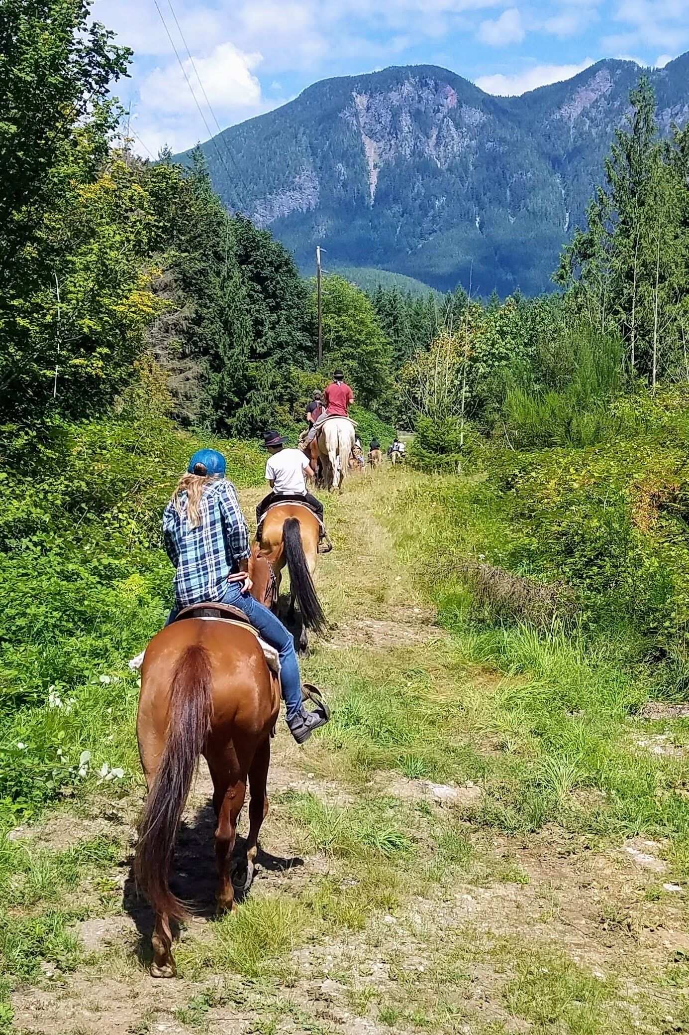 A group of people horseback riding on a trail surrounded by greenery and mountains.