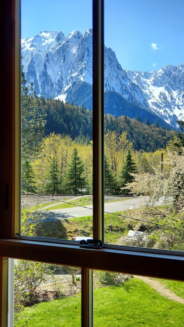 Kamer | Uitzicht op de bergen