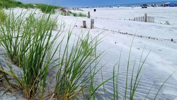 A beach with sand dunes and sparse vegetation.