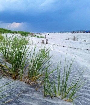 A beach with sand dunes and sparse vegetation. - Steps to Beautiful Brigantine Beach. 
1st. Floor Unit with Private Porch. (Brigantine)