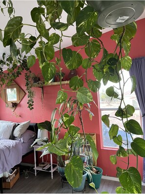 3 Schlafzimmer, Schreibtisch, kostenloses WLAN