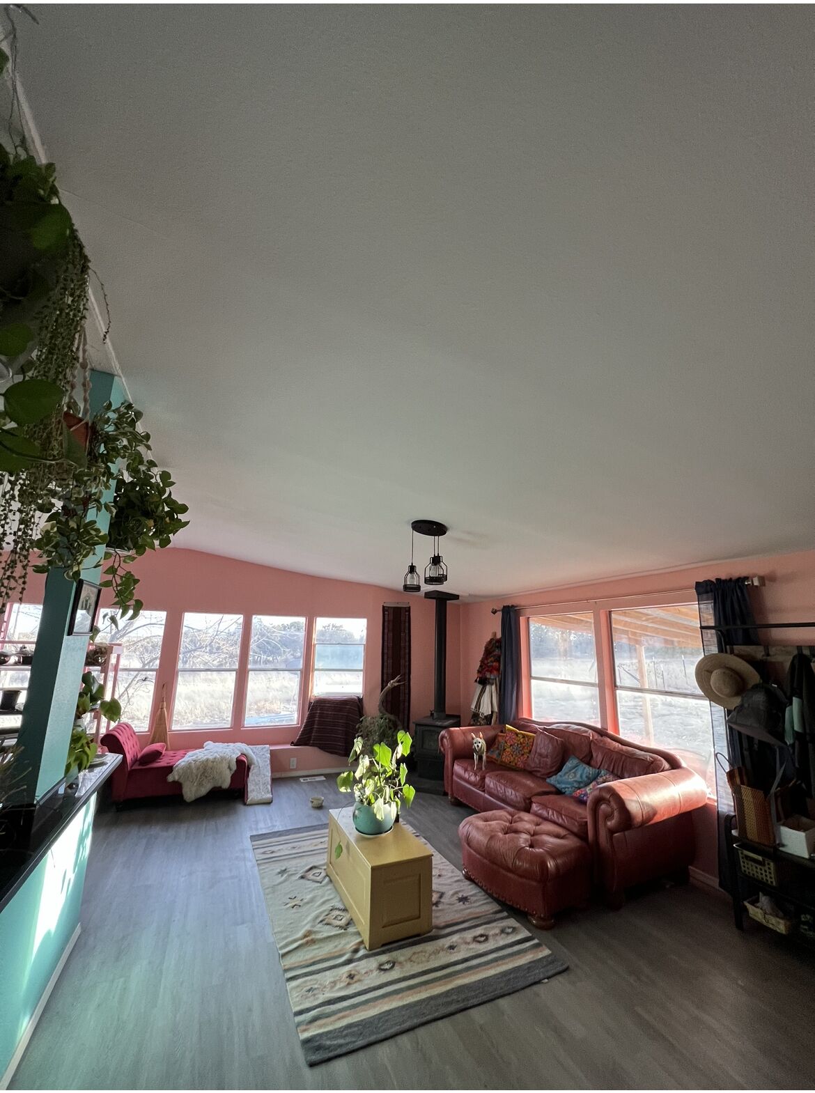 neighbors are llamas 🦙 and junipers 🌳 