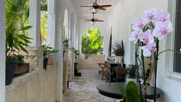 A covered corridor with tiled flooring, ceiling fans, potted plants, and a view of greenery outside. - Clean, New, Spacious, in Coconut Grove! (Miami)