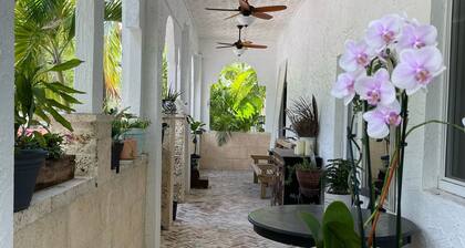 Clean, New, Spacious, in Coconut Grove!