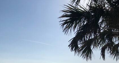 Fishermanâs Dream - condo on canal where the Suwannee meets the Gulf