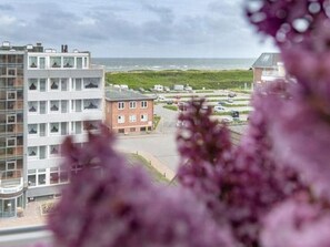 Eksteriør