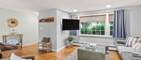 Smart TV, fireplace, books