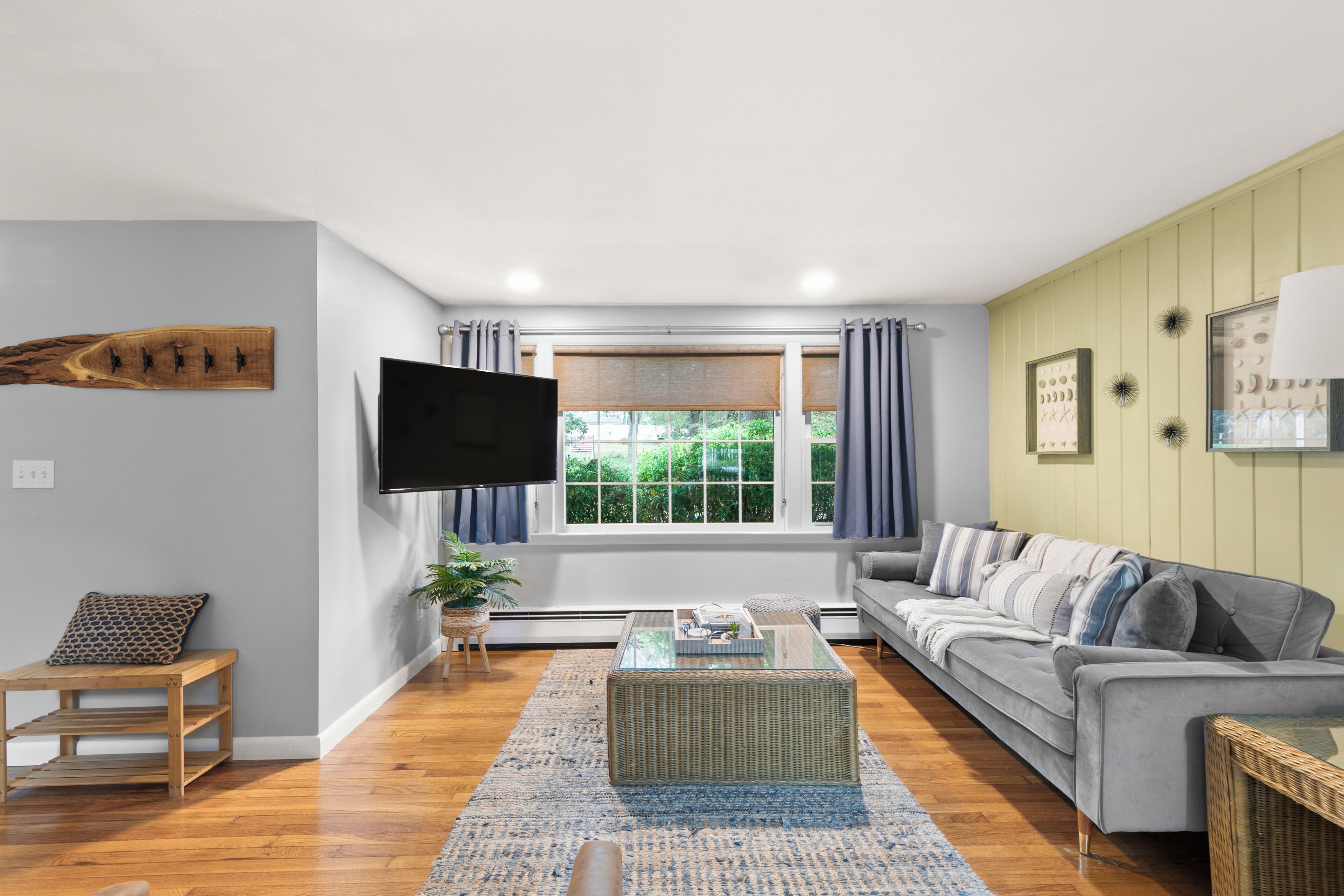 Smart TV, lareira, livros