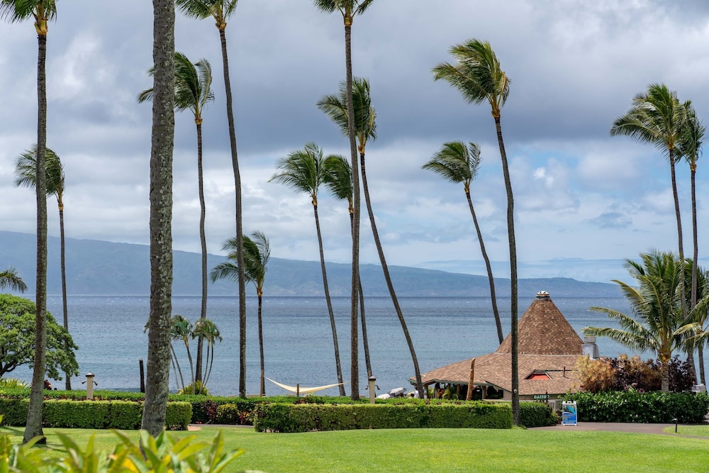 Napili Shores Maui by Outrigger by null
