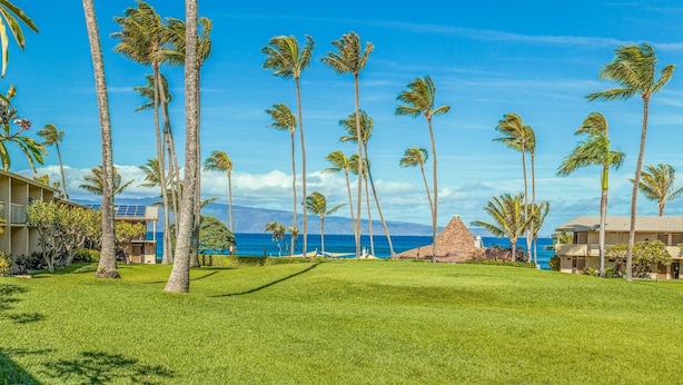 Ein Resort mit Rasenfläche, Palmen und Blick auf den Ozean.