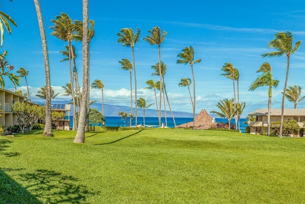 Studio | Property grounds - Napili Shores G154 Ocean View Studio Condo by RedAwning (Lahaina)