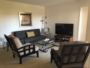 智能电视、DVD 播放器、书、音乐库